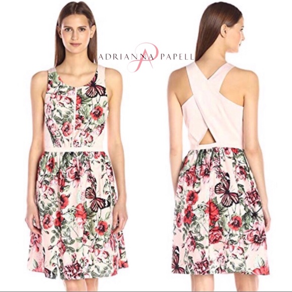 Adrianna Papell Dresses & Skirts - 🆕 Adrianna Papell Butterfly Floral Print Dress 8